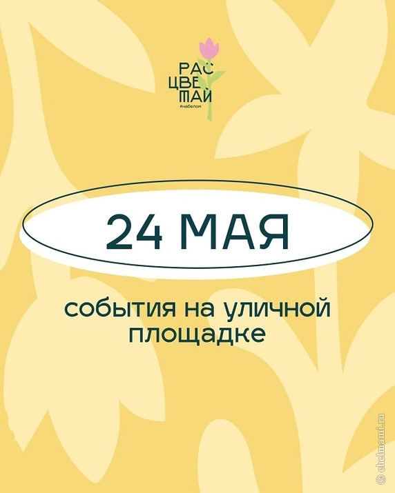 В Челябинске пройдет масштабный фестивале «Расцветай»