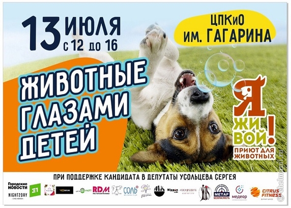 13.07 Детский праздник «животные глазами детей»